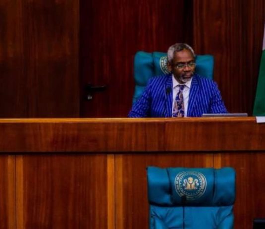 Reps reject bill seeking 6-year single term for President, Governors