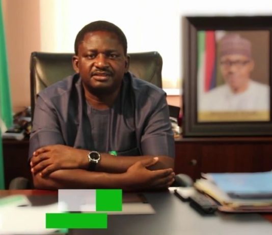 The scoundrel called Bayo Oluwasanmi – Femi Adesina