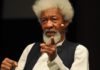 Amotekun, desirable New Year gift – Soyinka