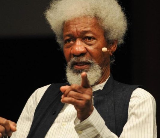 Why I oppose hate speech Bill – Soyinka