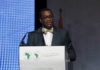 AfDB has $20bn investments’ portfolio in ECOWAS region — Adesina