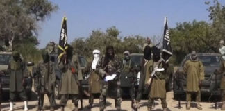 Boko Haram attacks another Borno village