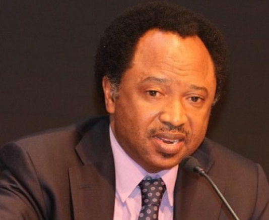 Leaders not telling Buhari truth about insecurity – Shehu Sani