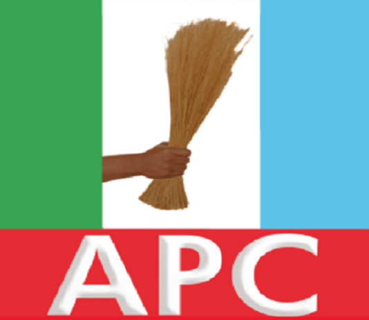 APC Clears All Kwara Local Government Chairmanship, Councillorship Seats