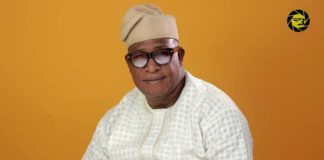 The Canary Icon of the Quarter: Alhaji Otunba Adebayo Salami