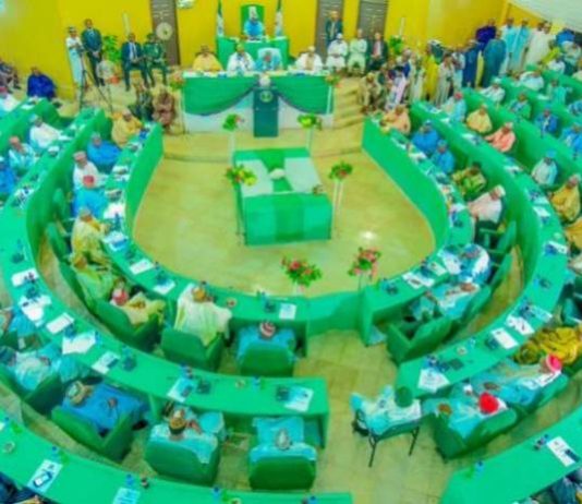 Kano Assembly removes majority leader