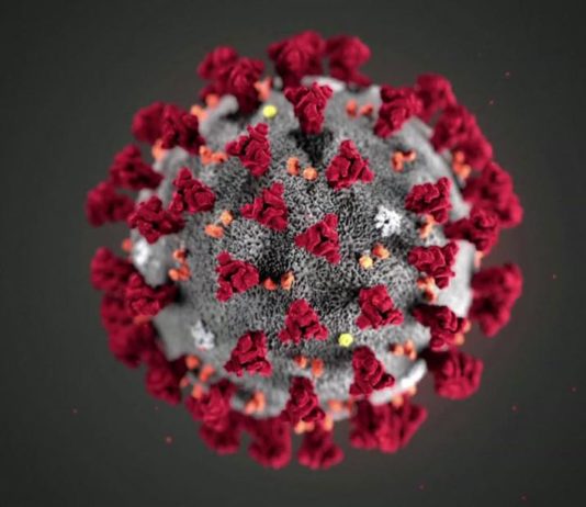 Kano records five new COVID-19 cases