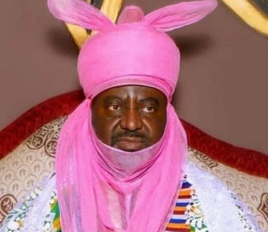 Kano government appoints new emir to replace Sanusi