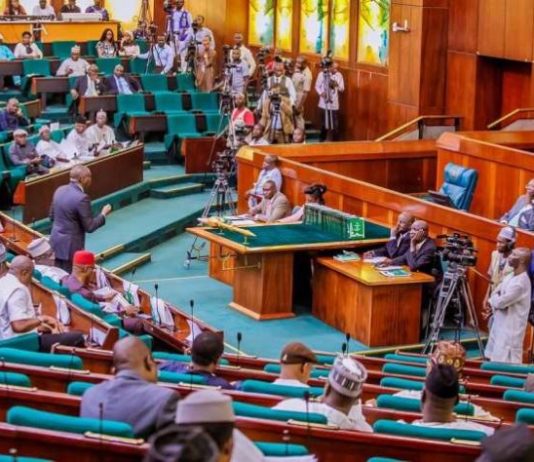 Nigeria’s House Member Calls for Return to Parliamentary System, Says ‘Presidential System Not Working’