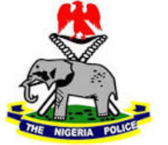 COVID-19 Scam: Osun Police Nabs Fraudster Impersonating Govt