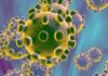 Nigeria confirms second coronavirus case