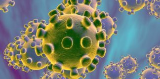 Nigeria confirms second coronavirus case