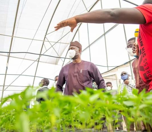 We are set to upgrade Akufo Farm to Agricultural Estate—Makinde