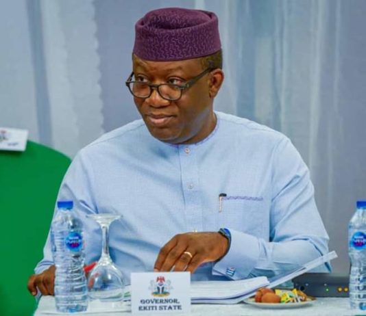COVID-19: Fayemi slashes salaries of political office holders by 50 percent