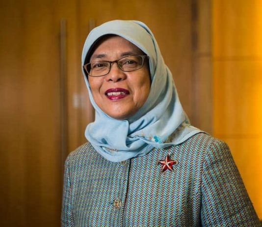 COVID-19: Singapore launches drone delivery service