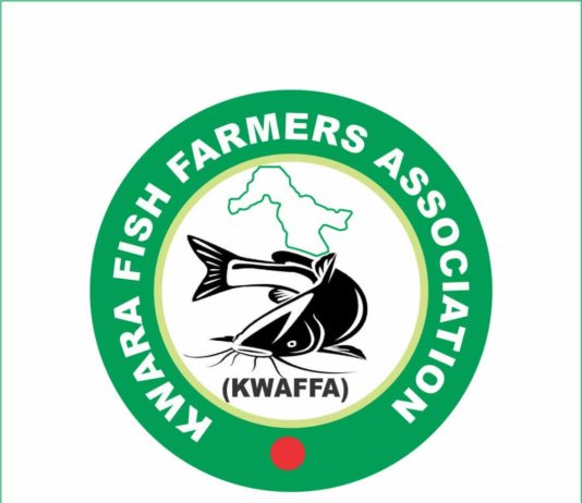 COVID-19: Kwara fish farmers association seeks govt intervention to tackle high cost of feed