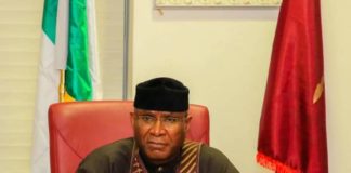 Shettima is Visionary and Detribalised; A Major Plus For APC Presidential Ticket – Omo-Agege