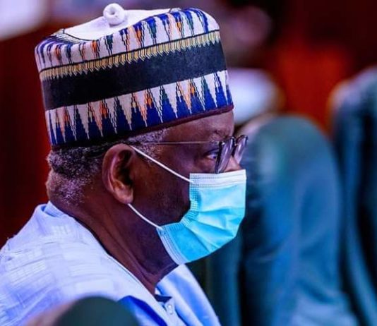 Profile of President Buhari’s new Chief of Staff, Professor Ibrahim A. Gambari