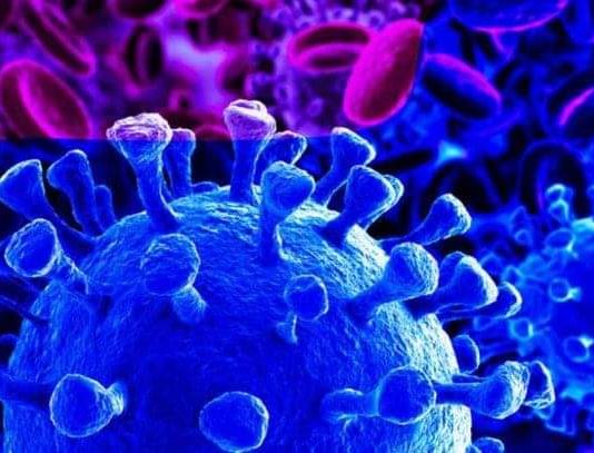 COVID-19: Niger government confirms additional four cases