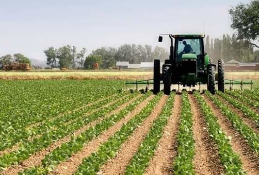 Kwara flags off 2020 cropping season Wednesday