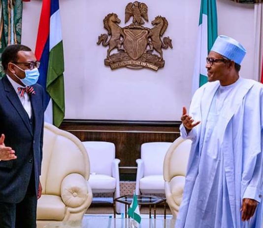 President Buhari to AfDB President: I’ll stand by you