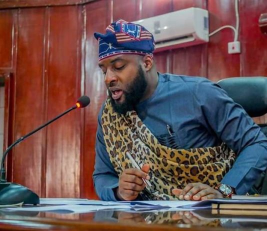 Oyo Assembly Will Make Punishment for Rapists, Sexual Violence Harsher