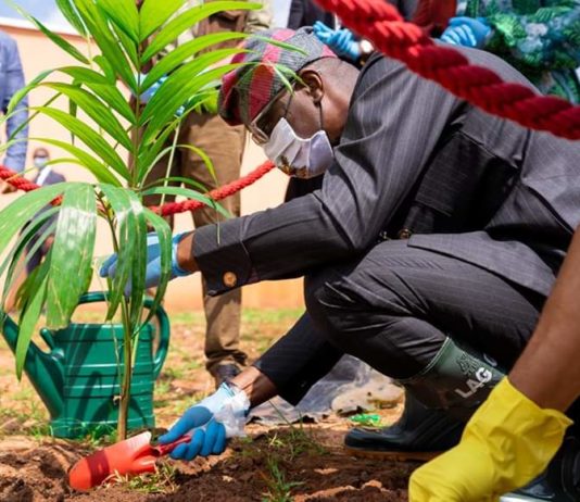 Sanwo-Olu Applauds Health Workers’ Sacrifice, as Lagos Marks Tree-Planting Day