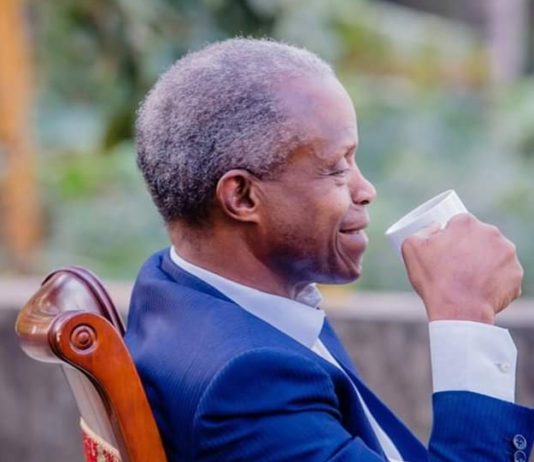 Osinbajo: Between columnist and calumny – Segun Ibidapo