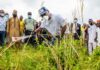 Kwara Gov leads clearing of schools ahead resumption