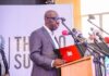 Obaseki allocates over 40,000 hectares to 6 firms for oil palm plantation