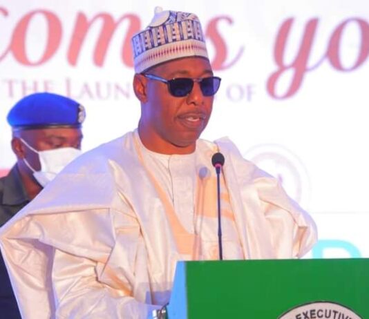 No attack on Zulum’s convoy or security aides, media aide clarifies