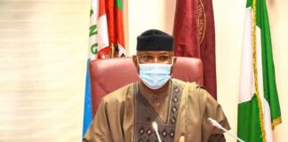 Why NASS can’t offer brand new constitution – Omo-Agege