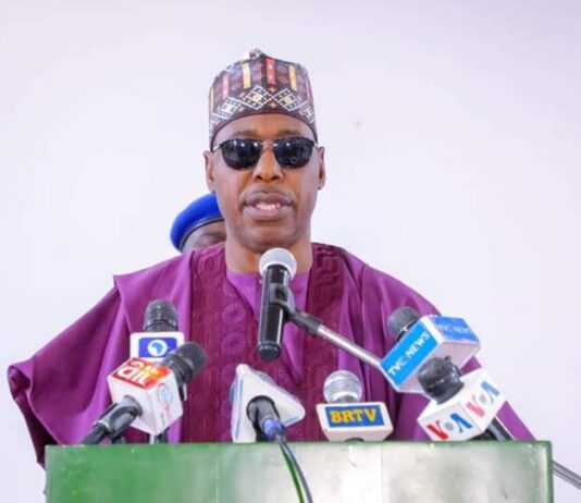 Gratuities: Zulum releases N12b to clear 4,862 unpaid retirees