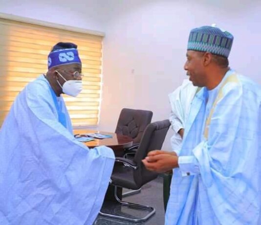 Boko Haram: Tinubu visits Zulum, wants military to change strategy
