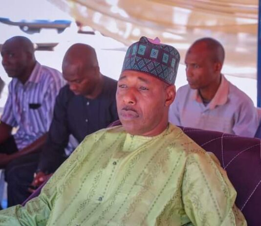 Zulum disburses N154m to 704 SMEs in Borno