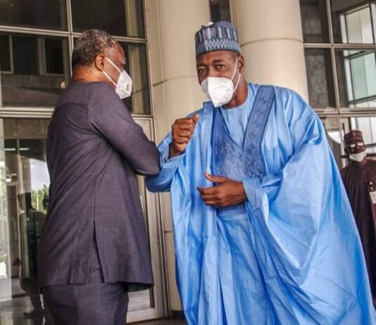 Borno Refugees: Zulum meets foreign affairs minister over repatriation from Cameroon