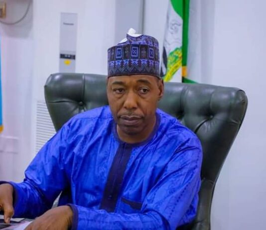 Boko Haram: ‘Western nations have shown Borno more concern than Arab countries’ – Zulum