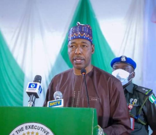 Zulum unveils new corporate identity for Borno’s internal revenue service
