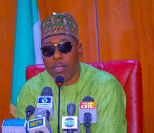 Zulum relieves Borno’s Health Commissioner, asks Prof. Marte to oversee Ministry
