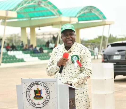 Bayelsa bans logging, deforestation activities