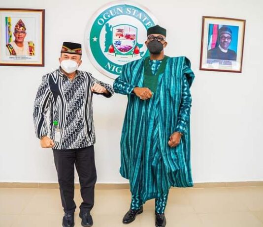 Foreign investment: Ogun raises economic team to liaise with Indonesian investors