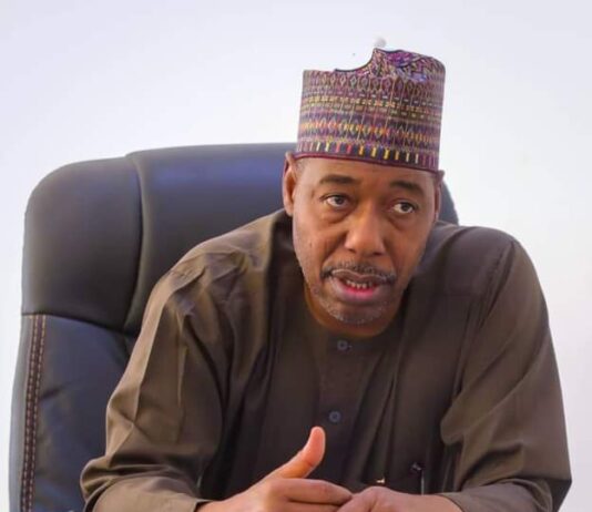 Zulum demands sanction as committee finds 21 health workers with fake certificates, 91 ghost staff