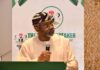 1999 Constitution falls short of standard – Gbajabiamila