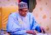 Those who want to destroy this country have shock coming their way – President Buhari