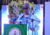 Borno: Zulum delivers 556 capital projects in two years