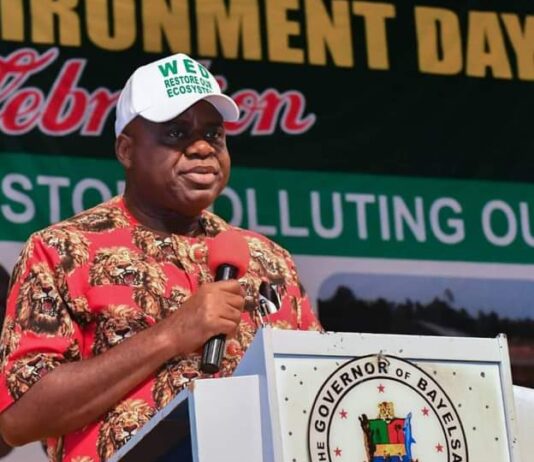 Bayelsa To Set Up Environmental Guards