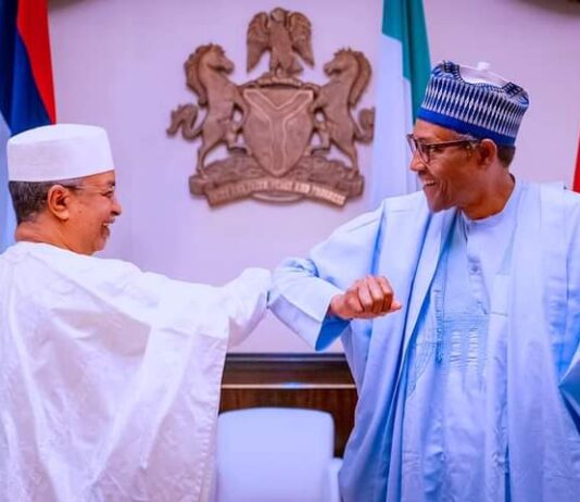 We must team up to fight instability in the sub-region and the Sahel, President Buhari tells UNOWAS Special Rep