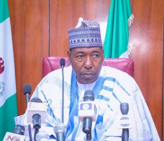 Borno Governor Suspends French iNGO, ACTED, Over Shooting Training at Maiduguri Hotel