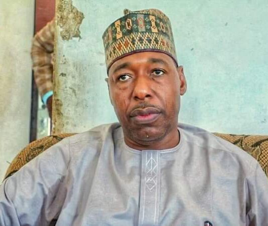 Zulum visits Wulgo in Lake Chad shores, offers cash to resettled residents