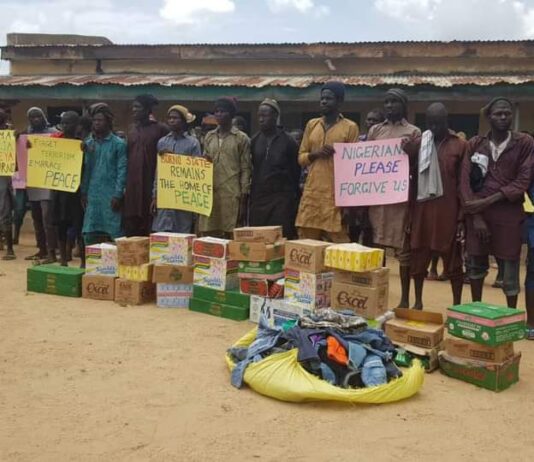 What happens to surrendered Boko Haram fighters? – Chidi Omeje